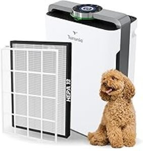 Air Purifier & Humidifier