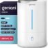 Why the Everlasting Comfort 6L Cool Mist Humidifier Is My Top Pick for Bedrooms, Plants & Allergy Relief